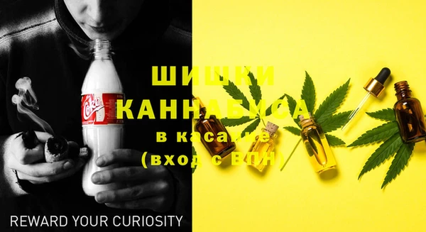 ГАЛЛЮЦИНОГЕННЫЕ ГРИБЫ Бородино