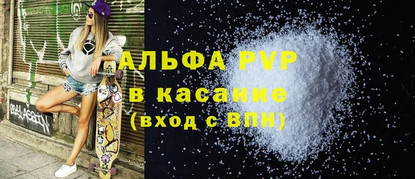 ГАЛЛЮЦИНОГЕННЫЕ ГРИБЫ Бородино