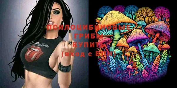 ГАЛЛЮЦИНОГЕННЫЕ ГРИБЫ Бородино