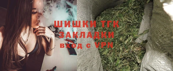 ГАЛЛЮЦИНОГЕННЫЕ ГРИБЫ Бородино