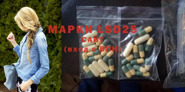 ГАЛЛЮЦИНОГЕННЫЕ ГРИБЫ Бородино