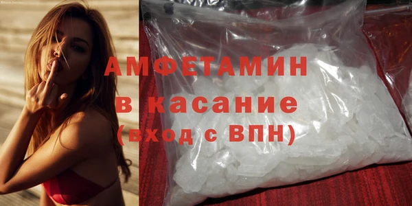 ГАЛЛЮЦИНОГЕННЫЕ ГРИБЫ Бородино