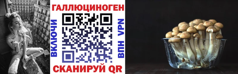 Галлюциногенные грибы Psilocybine cubensis  Рязань 